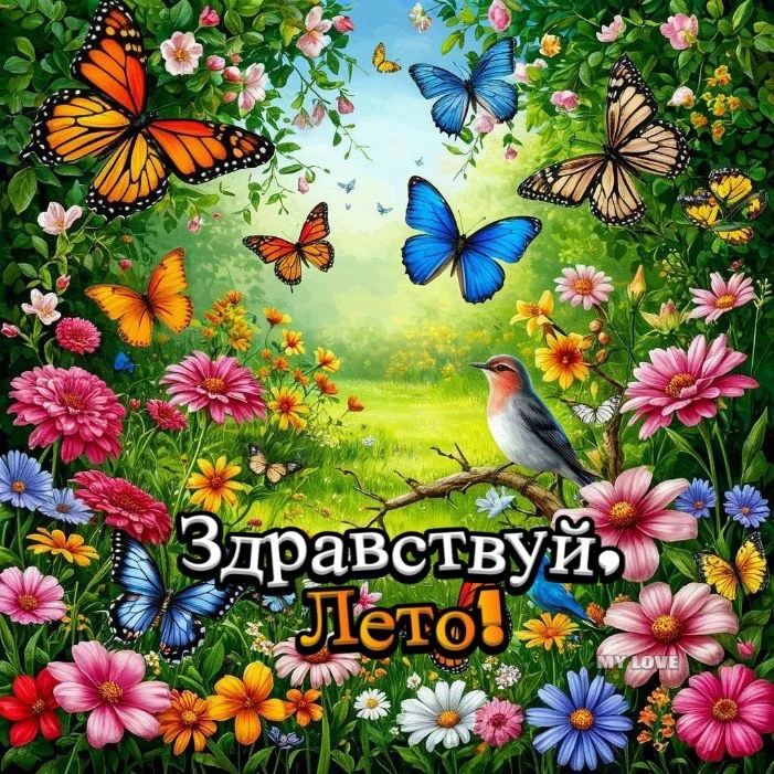☀️ Встретили лето! ☀️