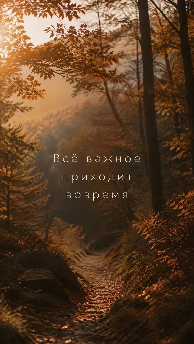 Размышление дня