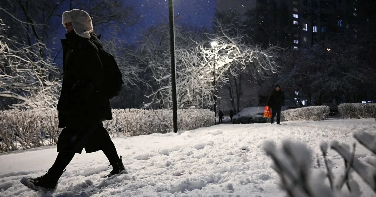 🥶До +1 градуса упадет температура в Московском регионе предстоящей ночью, — синоптики