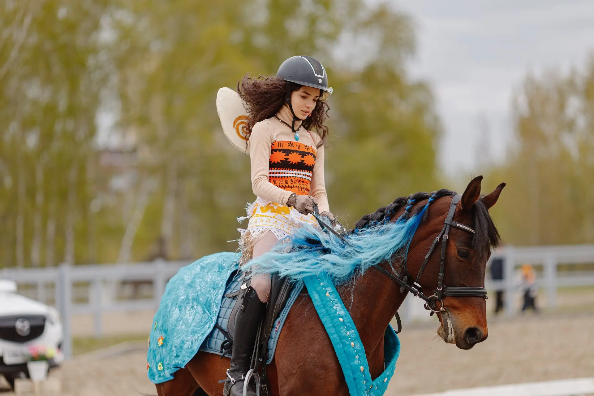 🏆Кубок города Красноярска по конному спорту 🐎