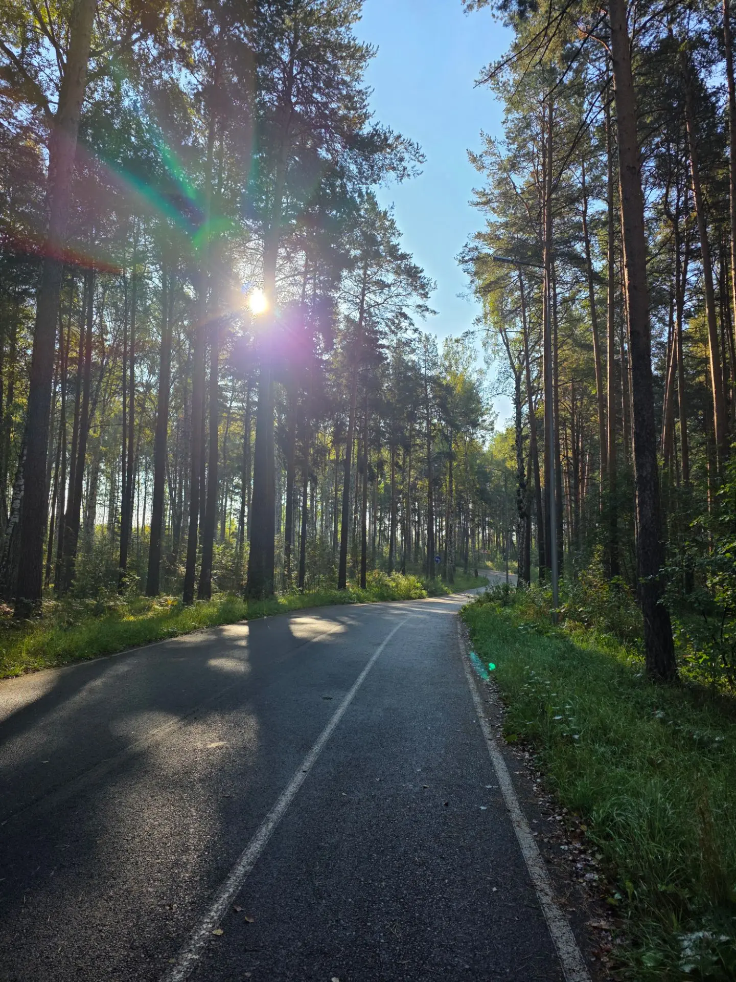 Доброе и бодрое утренние 5 км по парку 🖐🌲🌳