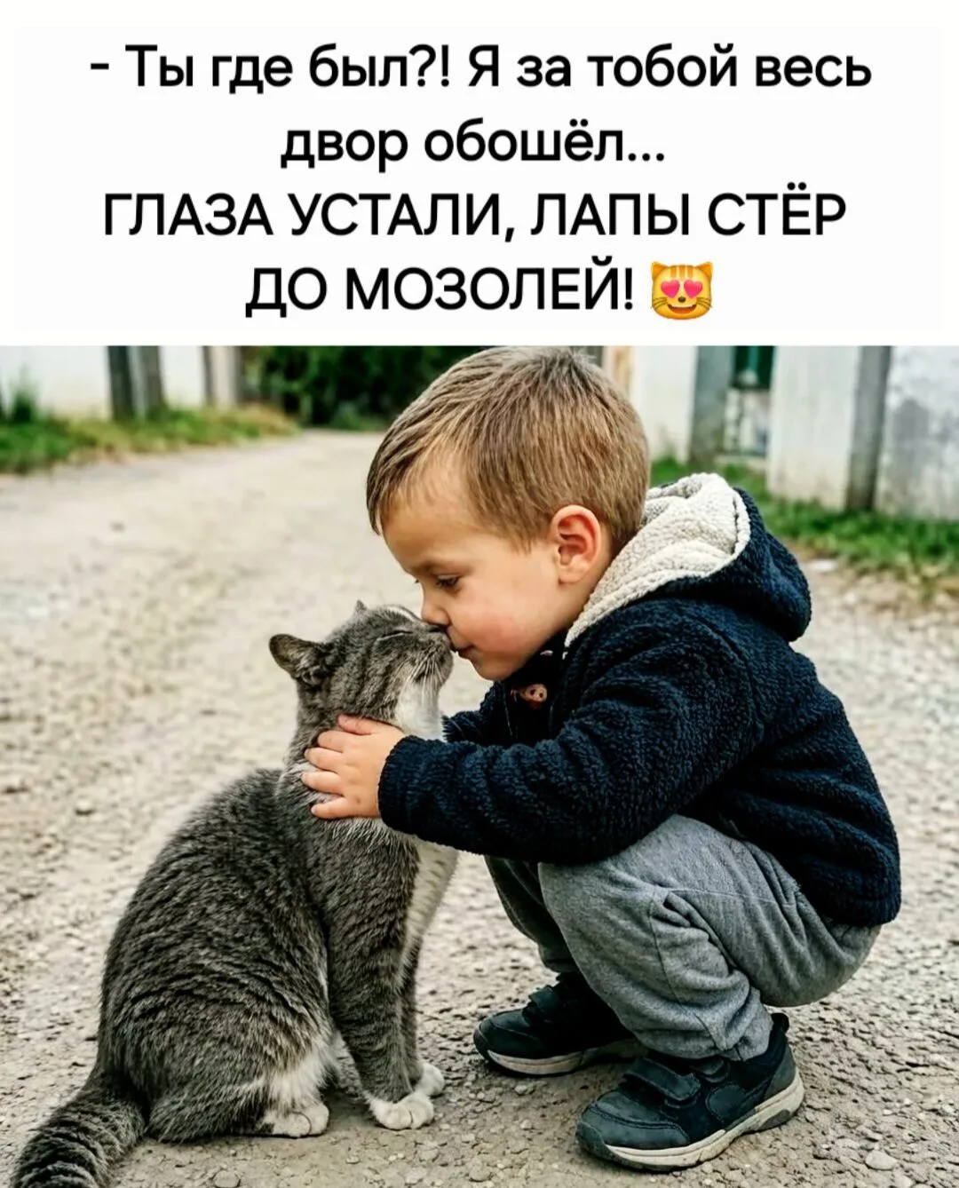Добрый Мурзик 😻