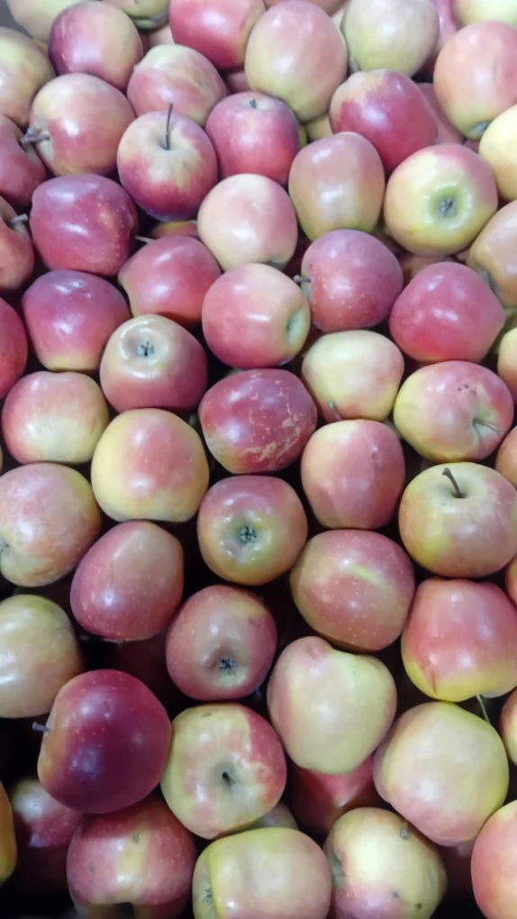 А у нас поступили яблоки🍎🍏🍎