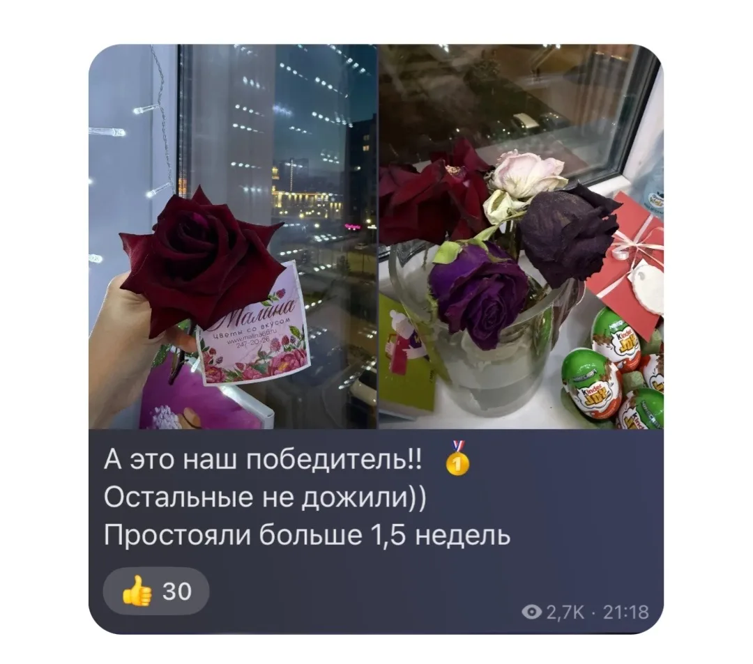 Мы с интересом ждали результаты и вот они. НАША РОЗА ПРОСТОЯЛА ДОЛЬШЕ ВСЕХ 🎉 

Мы очень рады, ведь 