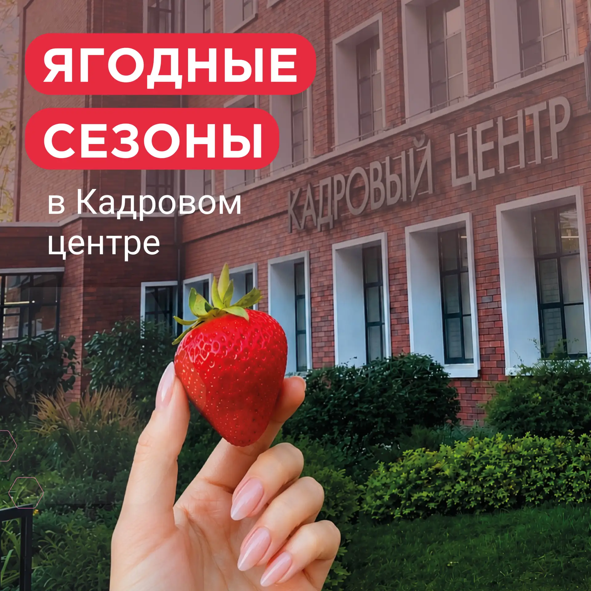 🍓 Что полезнее: жимолость, клубника или смородина?

Запускаем новую рубрику «Ягодные сезоны». В теч