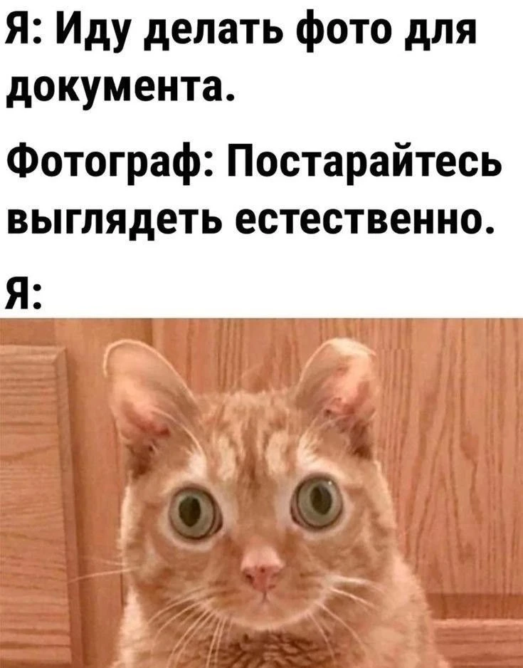 ХАХАХАХА🤣