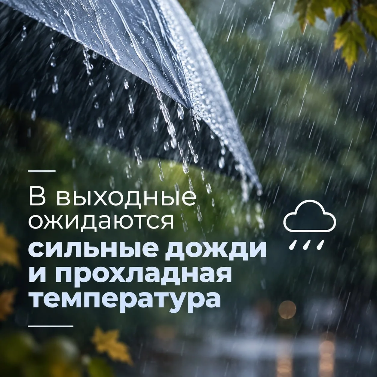 Суббота принесёт в Москву резкое похолодание 🌧