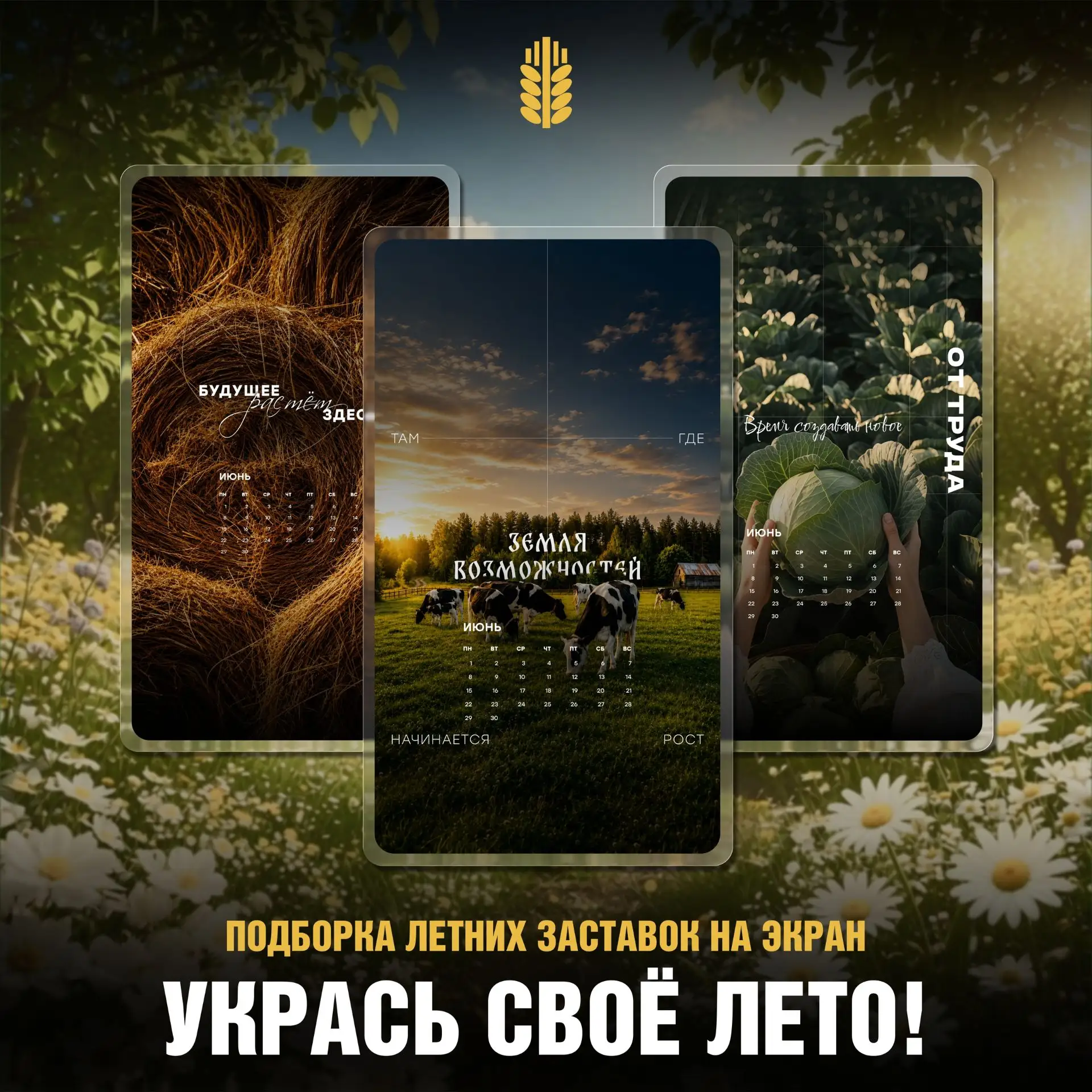 Лето на экране!