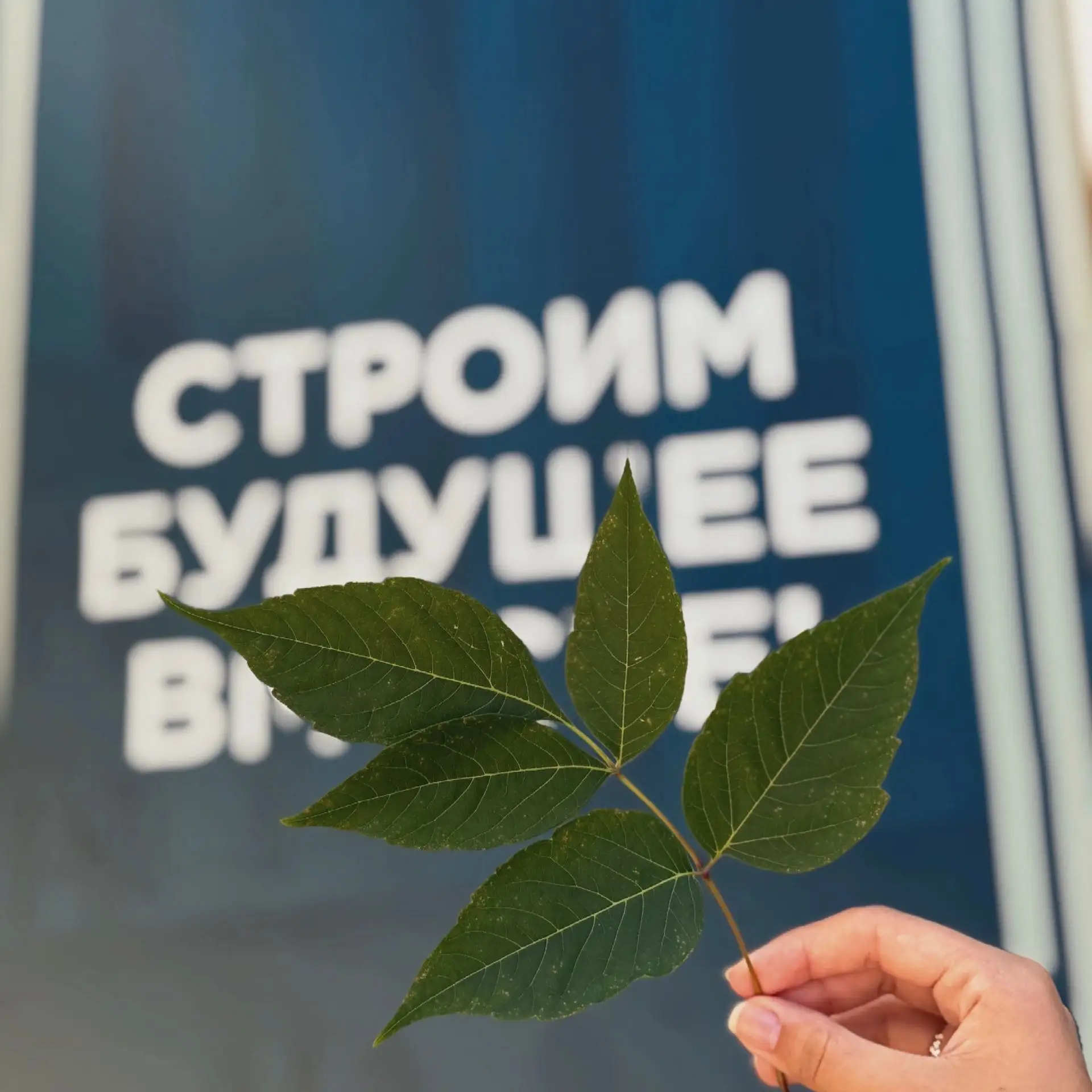 Доброе утро, ВГТУ! 🏛 
 
Пусть день будет лёгким, а настроение отличным!