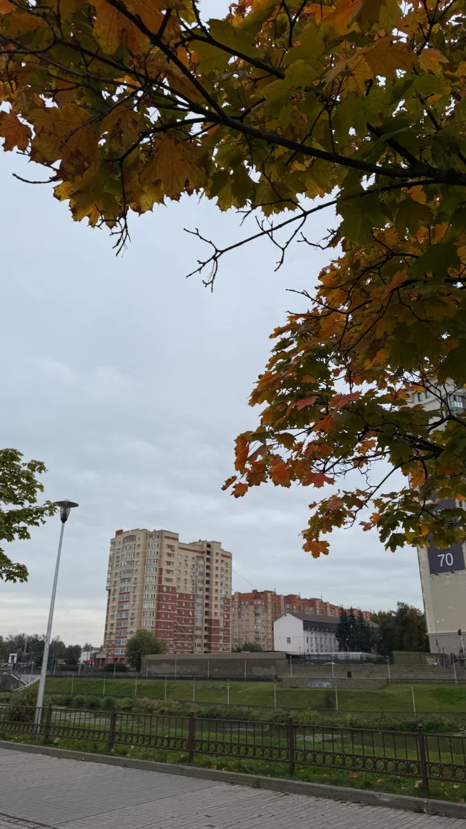 🍂 На следующей неделе в Щелково придут дожди, высокая влажность и листопад, — синоптики