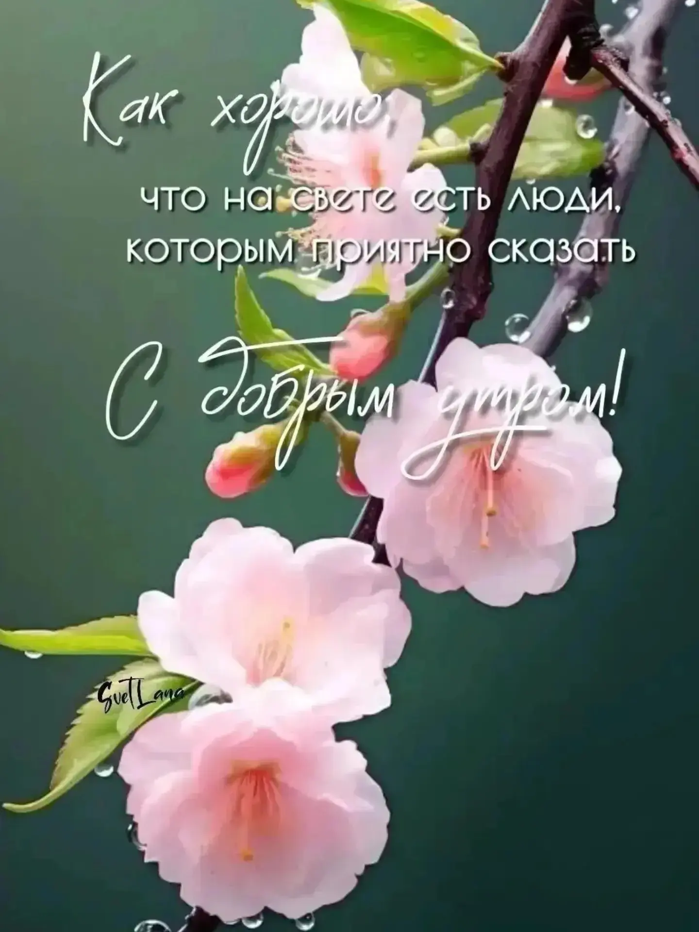 С добрым утром!