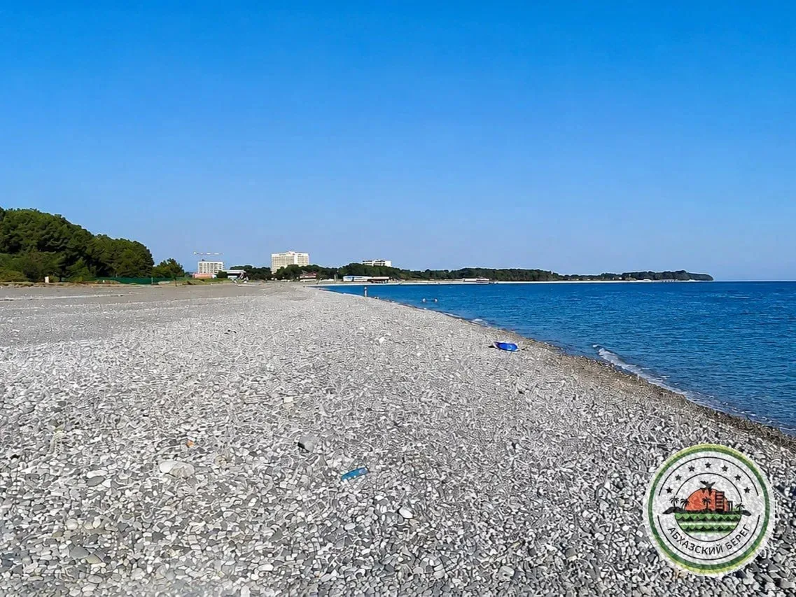 #ПИЦУНДА Молочный совхоз   “КЕДРОВЫЙ” - эко-отель с бассейном в соснах 🌲  🏖 до пляжа 8 минут пешком 