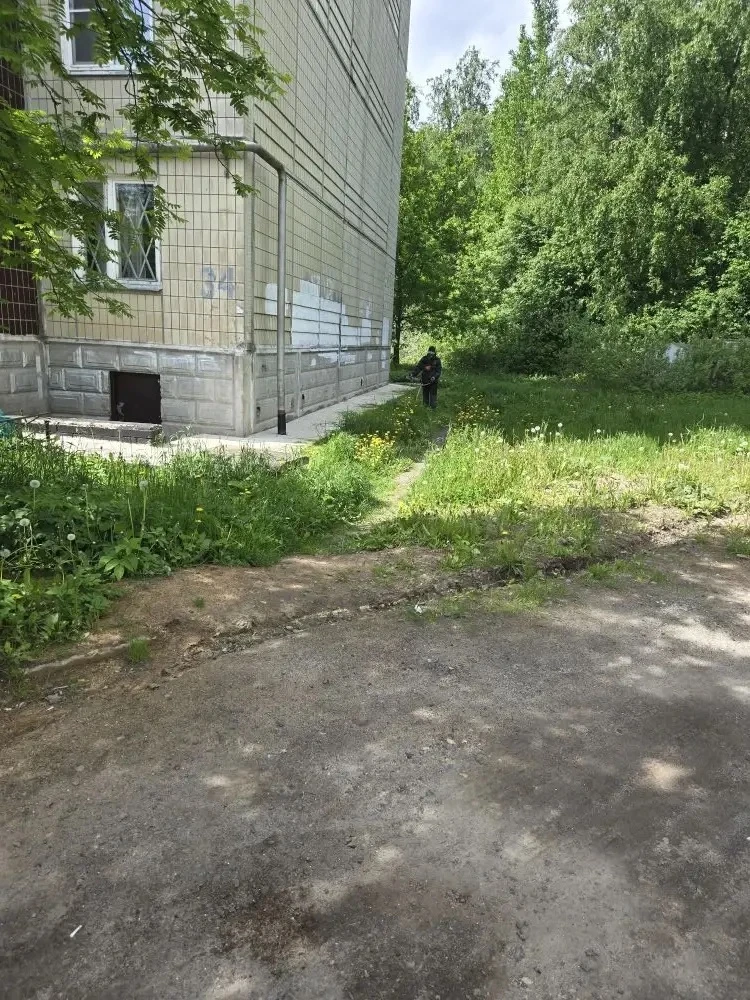 🌱 ООО «ЛИСМА» продолжает выполнять работы по покосу травы на придомовых территориях МКД

Выполнен п