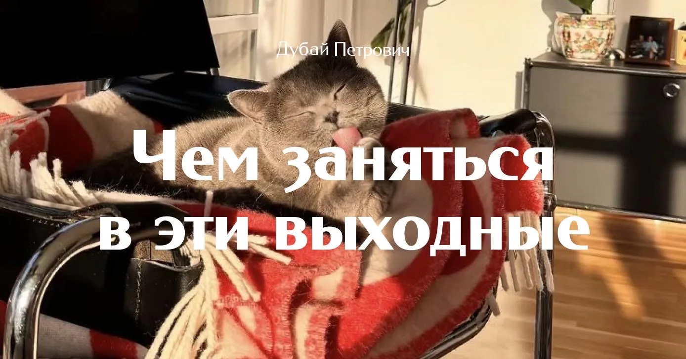 Афиша Денисовна онлайн, привет!  Этот уик-энд проведем на мероприятиях: House of Porsche, Alserkal A