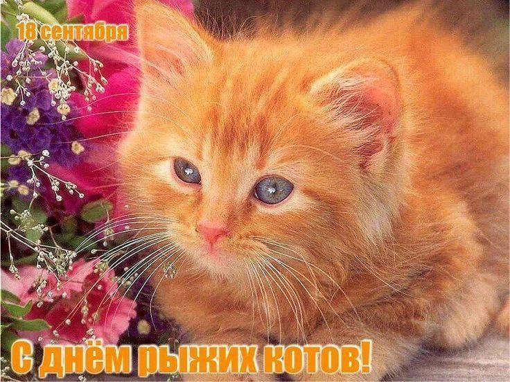 Женские открытки💝