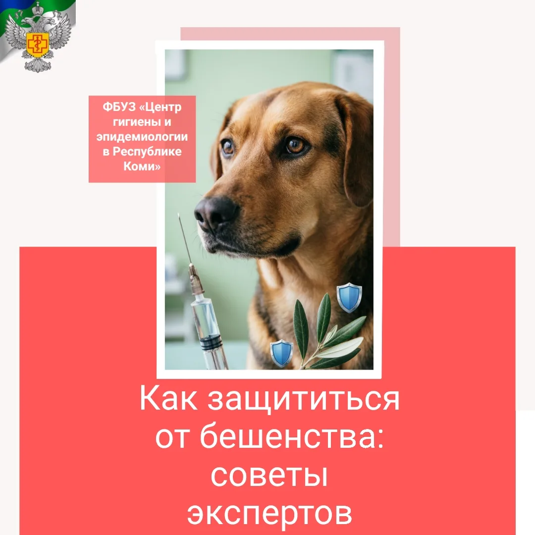 Как защититься от бешенства: советы экспертов