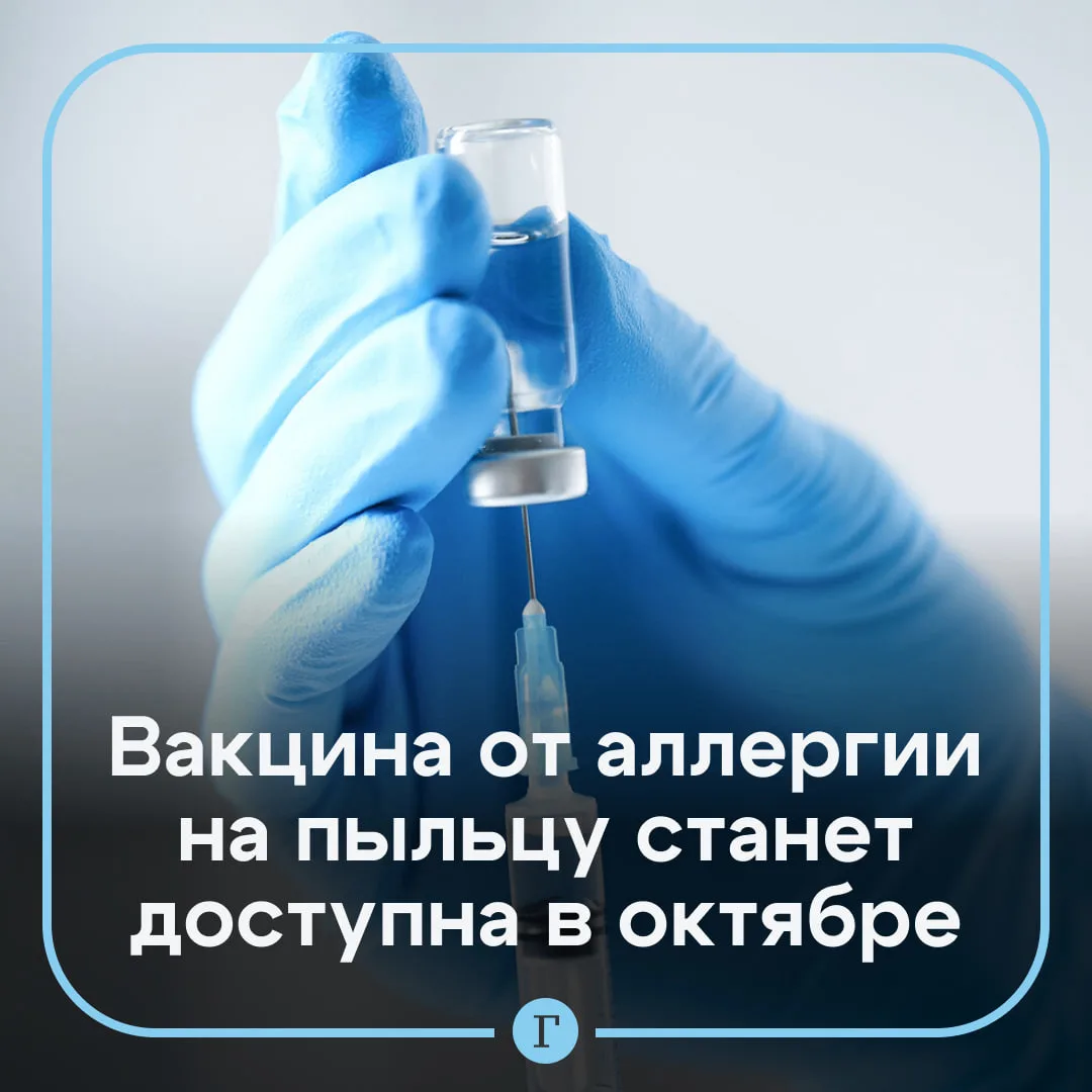 Российская вакцина от аллергии на пыльцу березы выйдет в оборот уже в этом месяце.