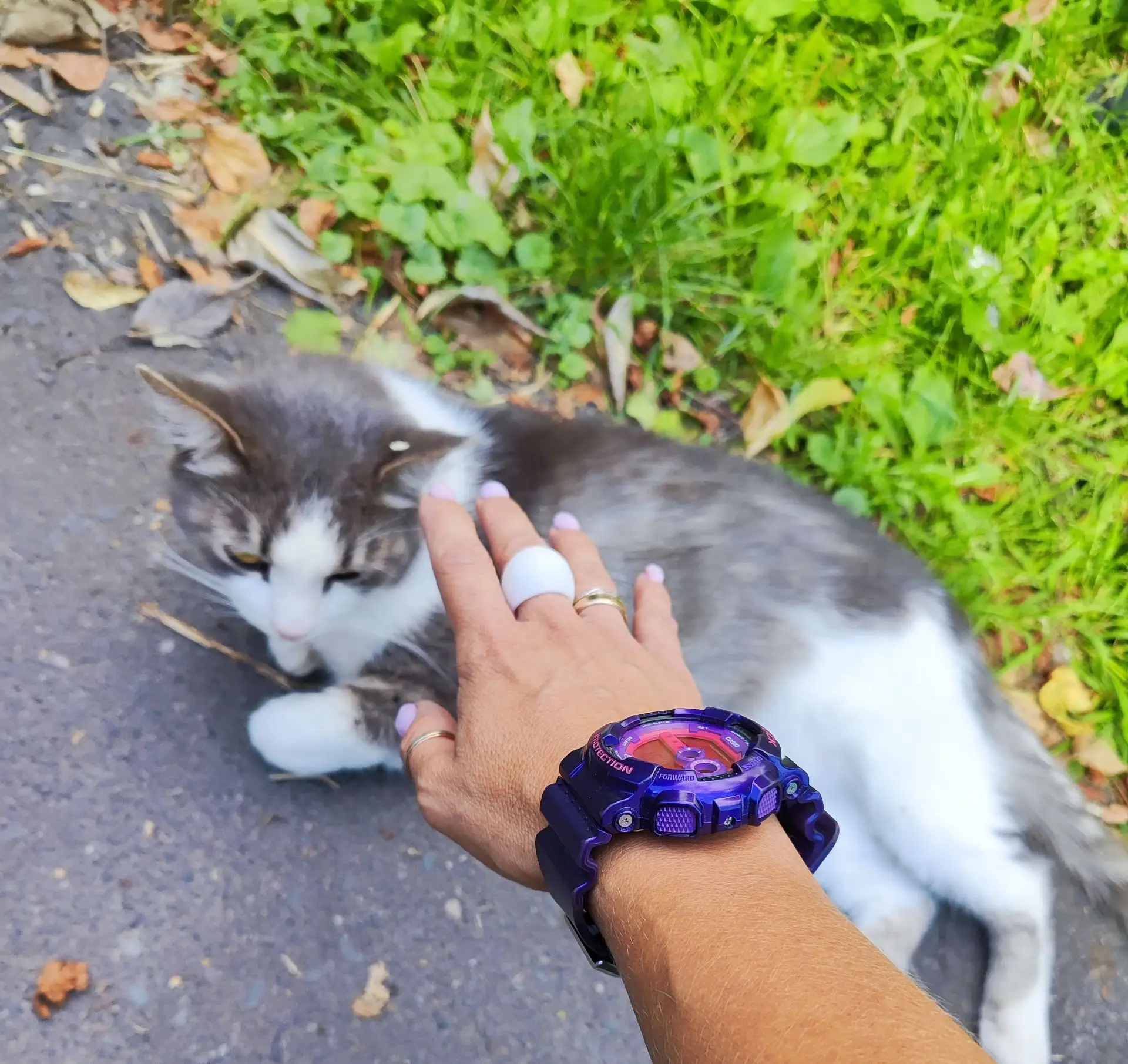 🐱 Все котики мои друзья ❤