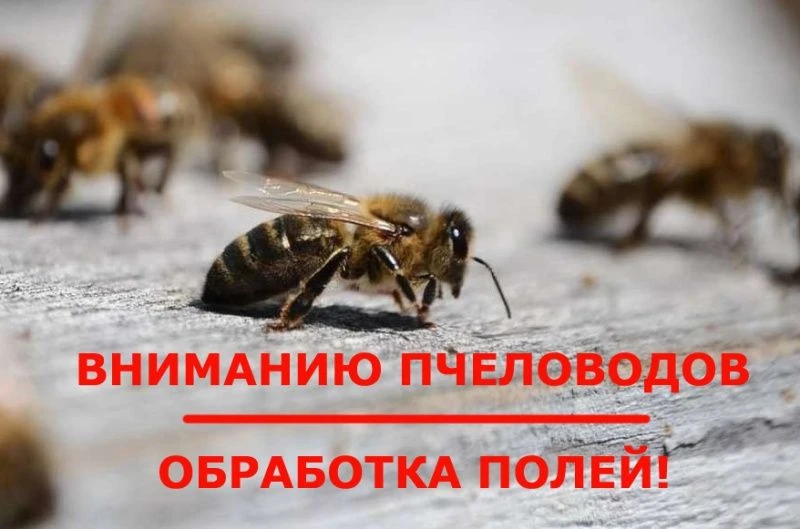 ООО ФХ УСТИНОВА В.И.
ИНН: 2249010642
Ответственный: Устинов Владимир Игоревич
Телефон: +7 983 555-16