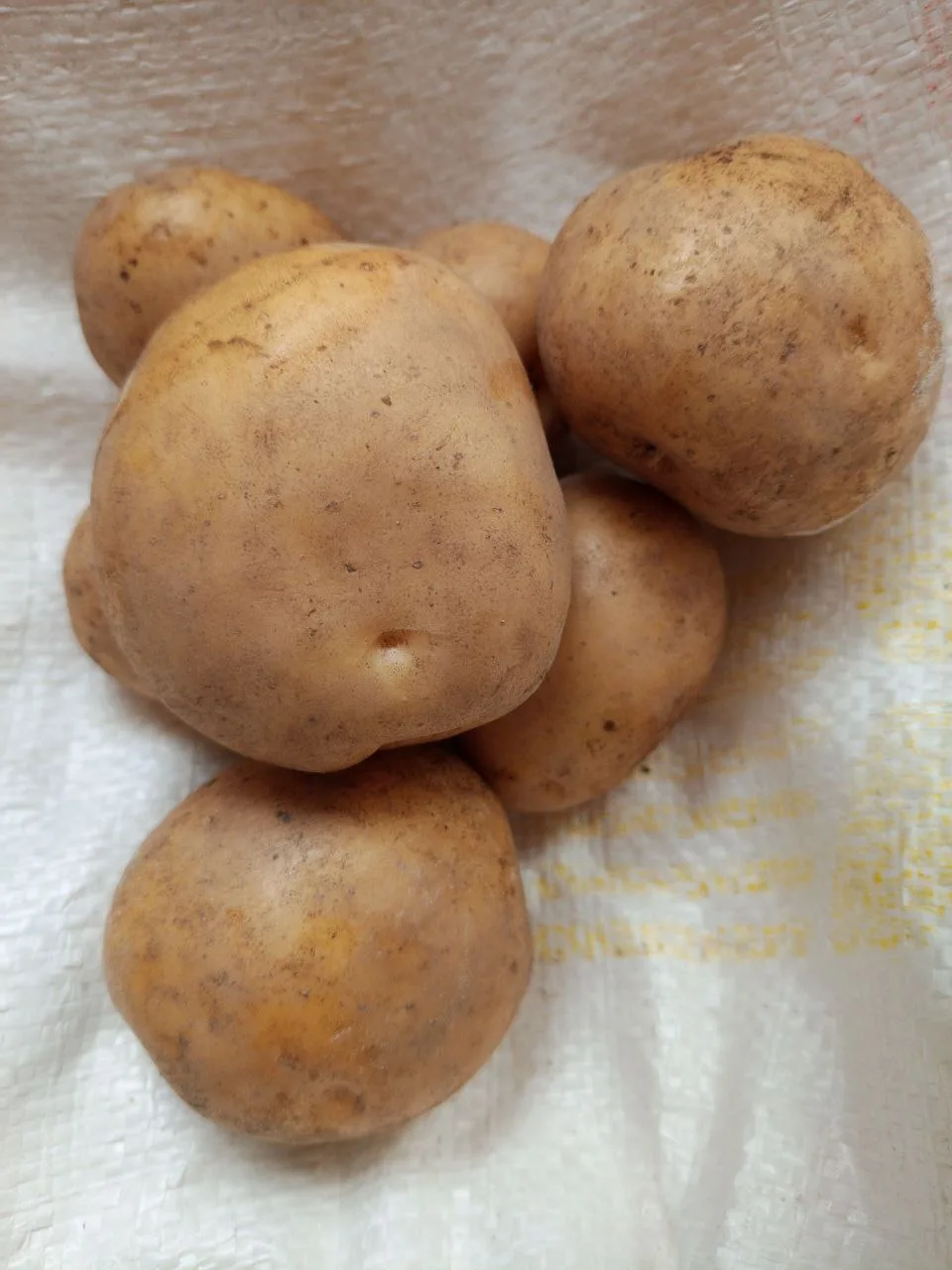 🥔 Друзья, картошка! 🥔