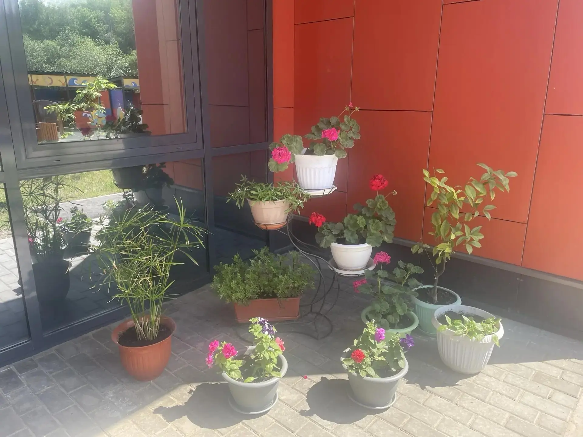 Друзья, посмотрите на это великолепие!🌸
То, что сейчас цветет на наших участках - это не просто клу