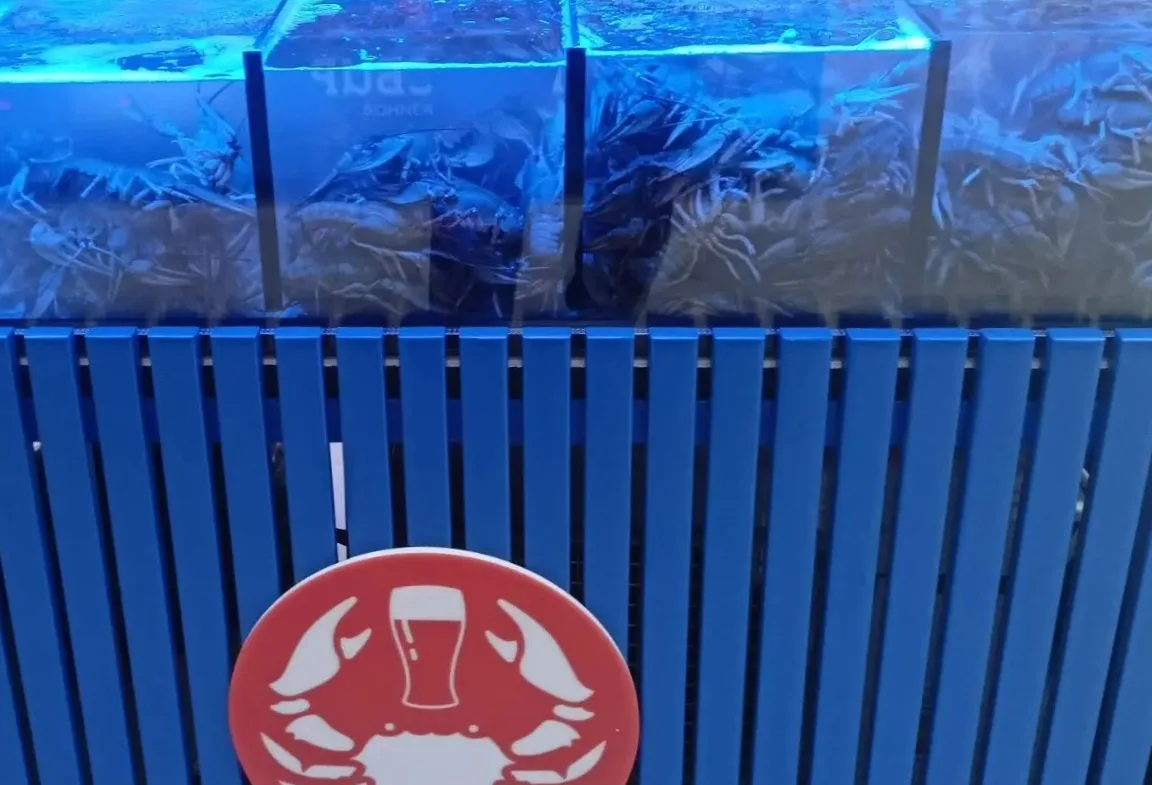 🦞 Пока вы спали, они ехали к нам