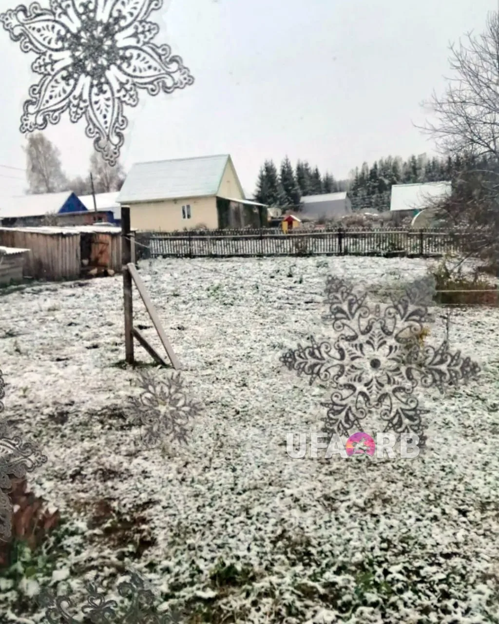 ⛄️ Первый снег