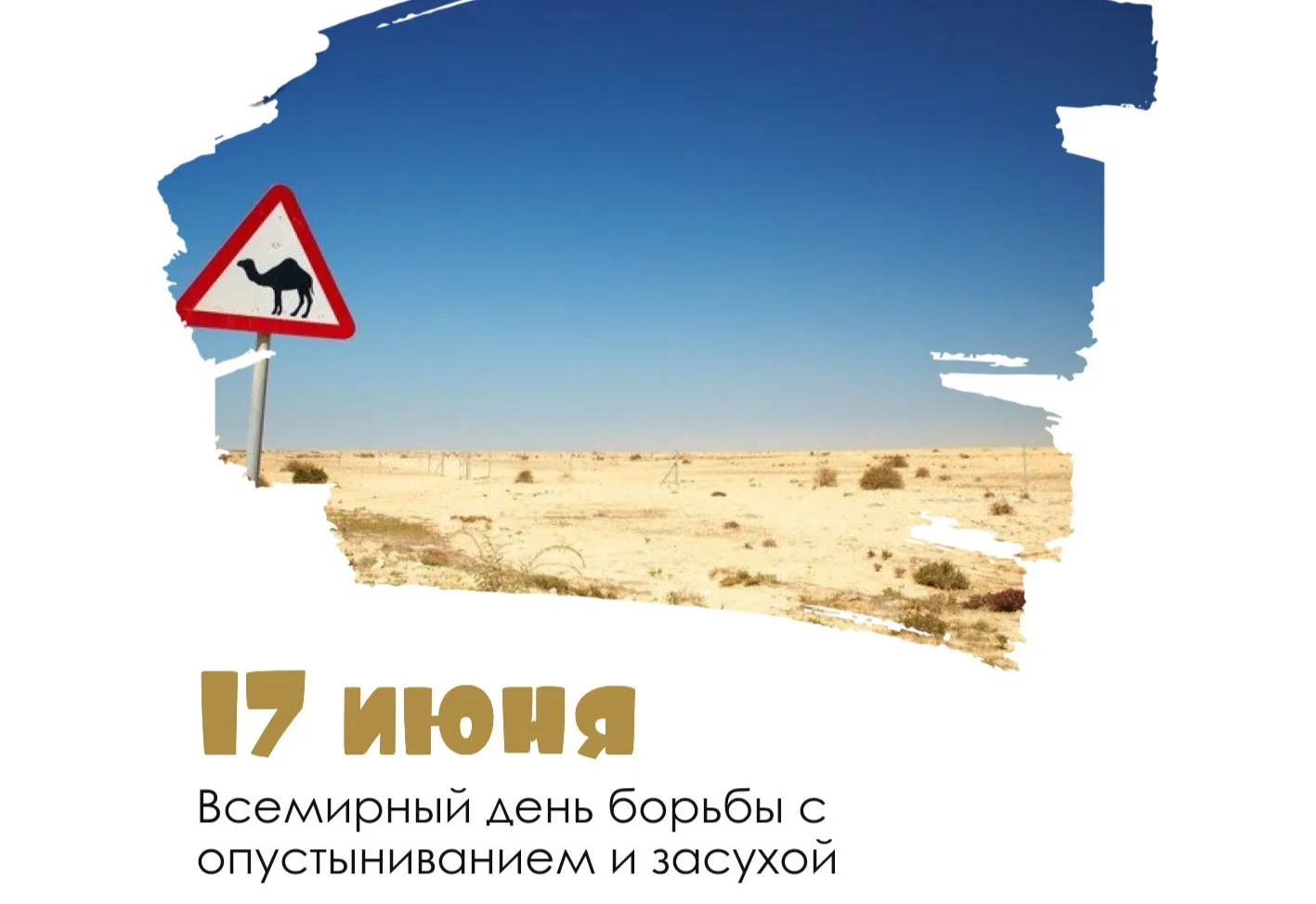 💚Доброе утро, друзья!
Сегодня отмечается "Всемирный день 
борьбы с опустыниванием и 
засухой"

Этот