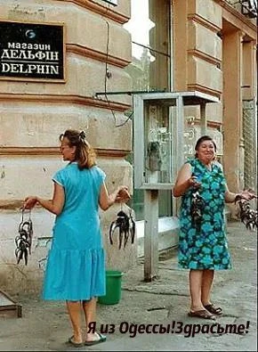 Одесса. Магазин «Дельфин».
— Камбалу сегодня не завозили?
— Ещё не было и уже не будет!
— А бычки?
—