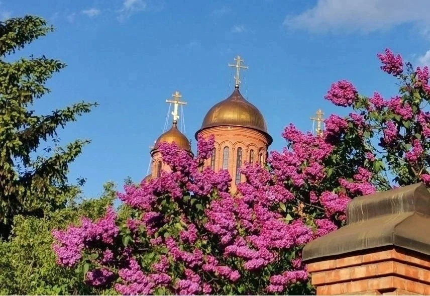 Сиреневый май  пос.Ильинский  НЕ ЗАБУДЬ ПОДПИСАТЬСЯ ⤵️