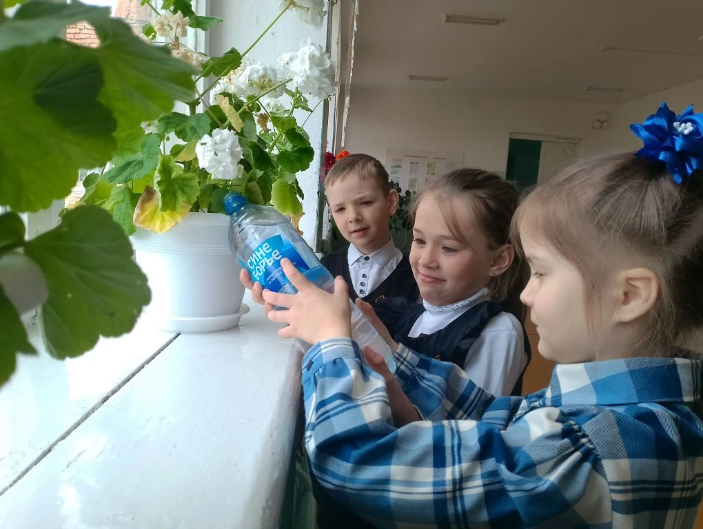 В нашей школе дети не только учат школьные предметы, но и учатся ухаживать за комнатным...