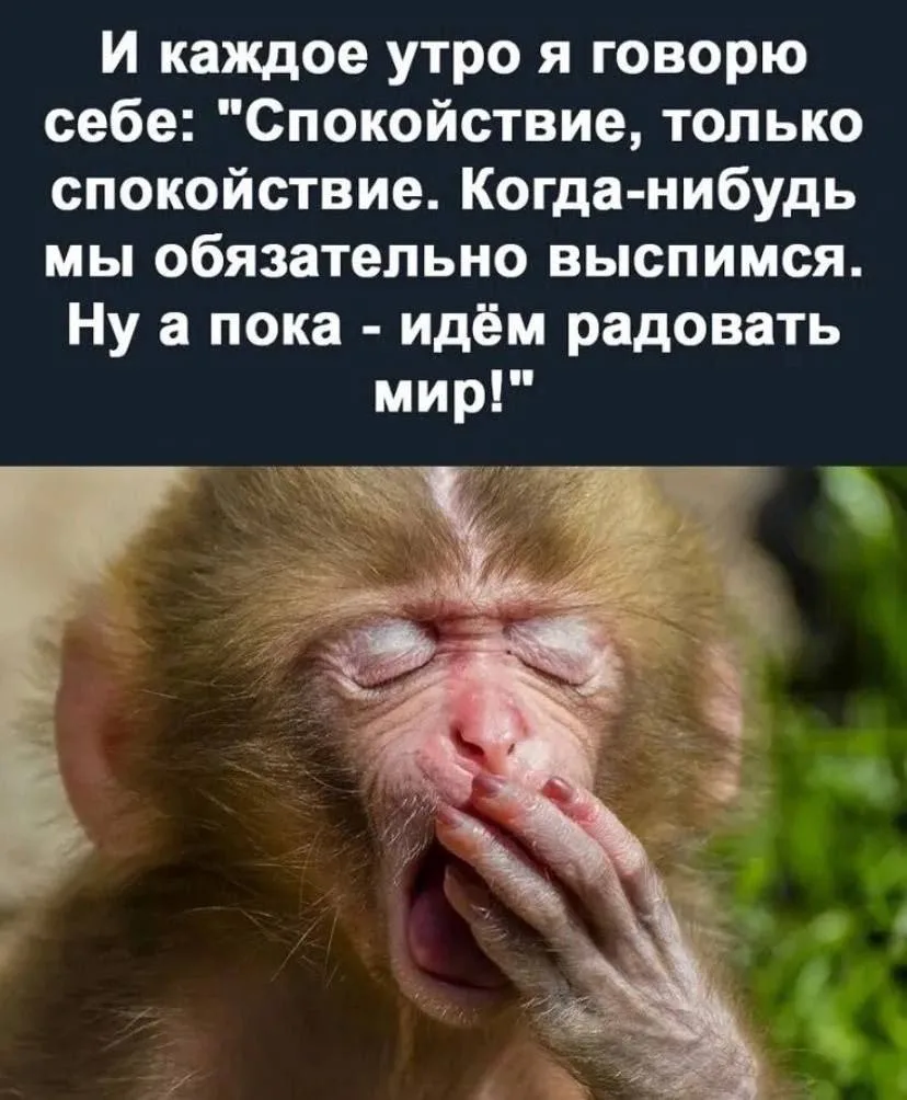 Ведьмин котелок 🧙 Подписаться