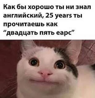 😂😂😂