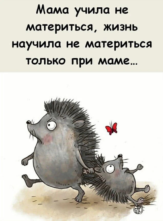 Молния ⚡Юмор