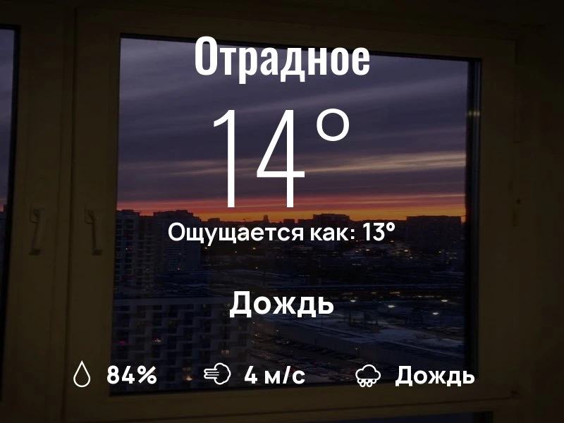 Что с погодой в Отрадном?