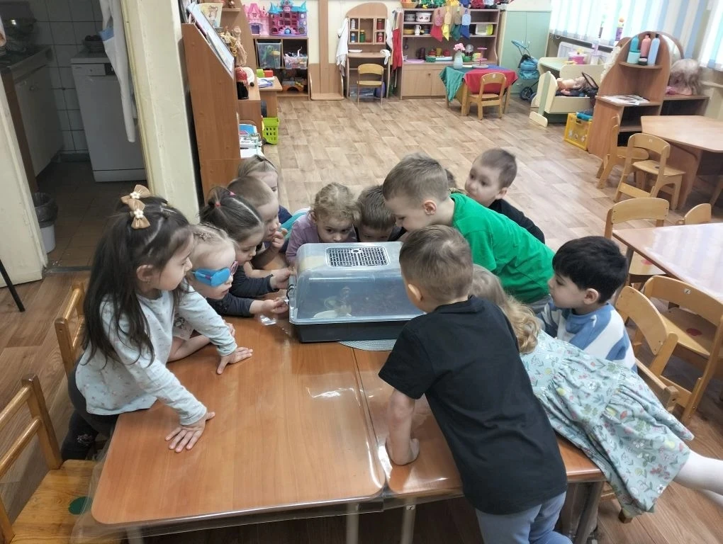 В группе произошло по‑настоящему волшебное событие: дети познакомились с большими улитк...
