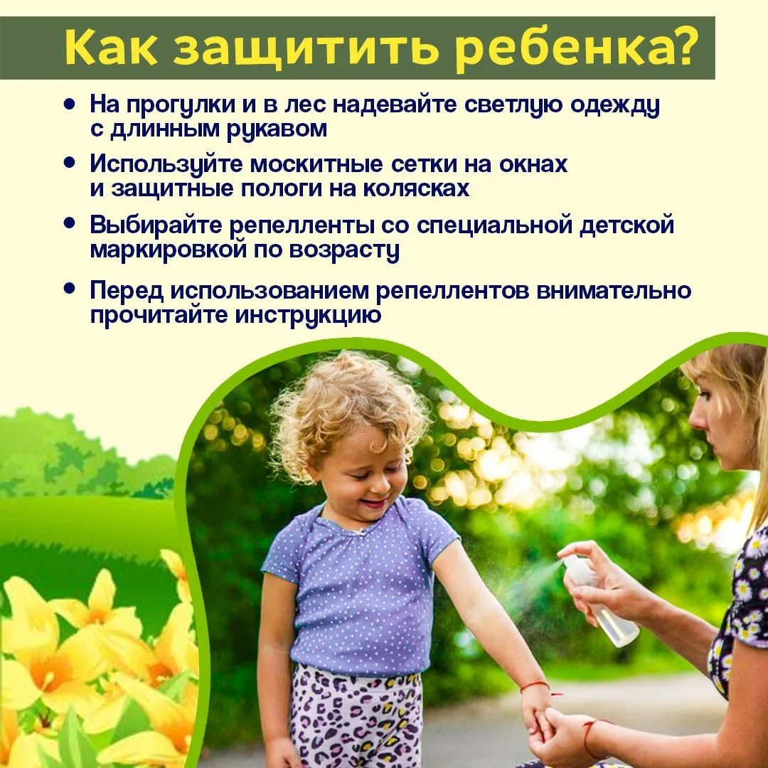 Лето — время долгих прогулок, но вместе с теплом просыпаются насекомые 🦟                           