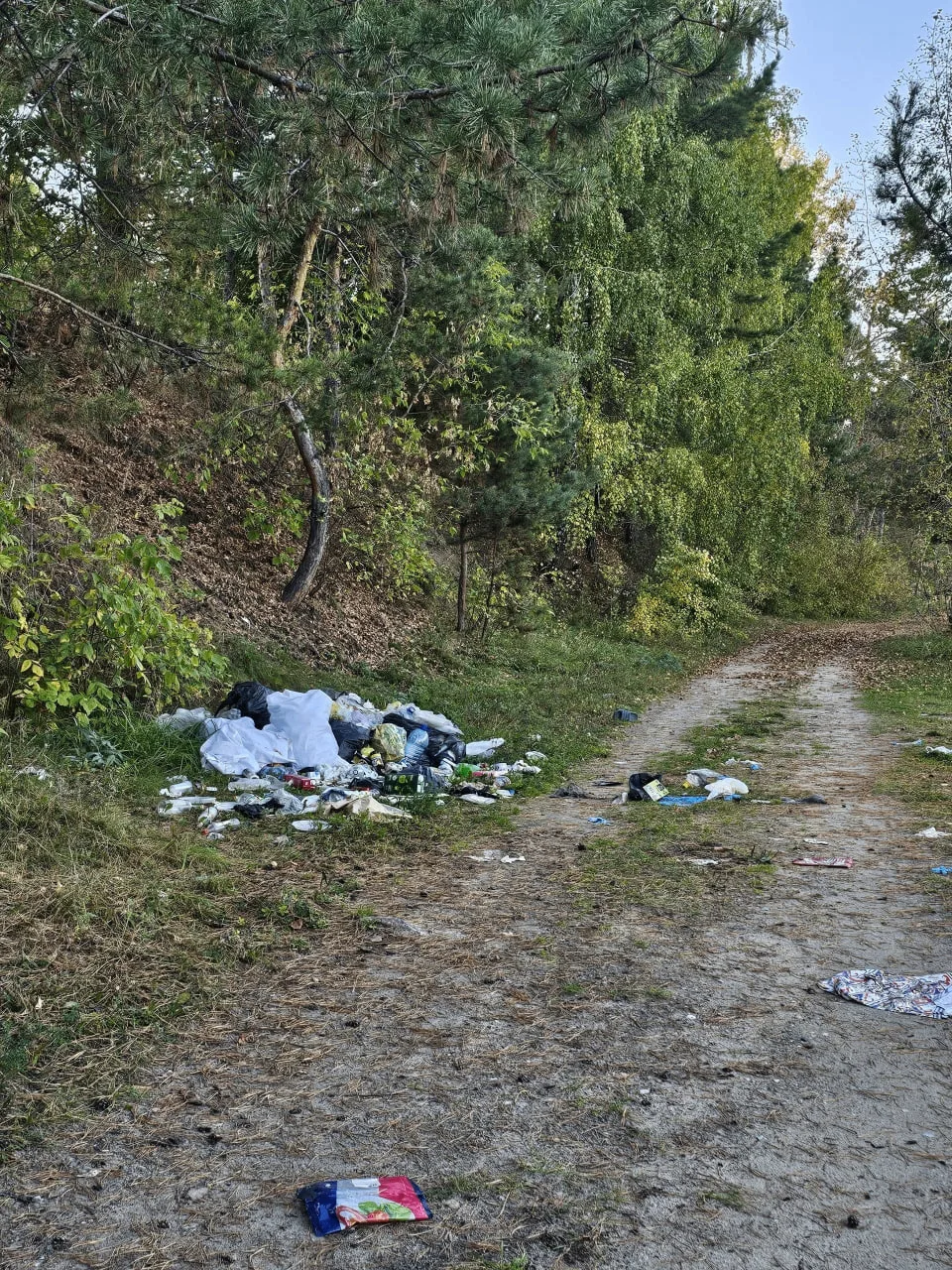 Пляж Бердска в очередной раз засрали мусором - люди, неужели вам приятно жить в таком с...