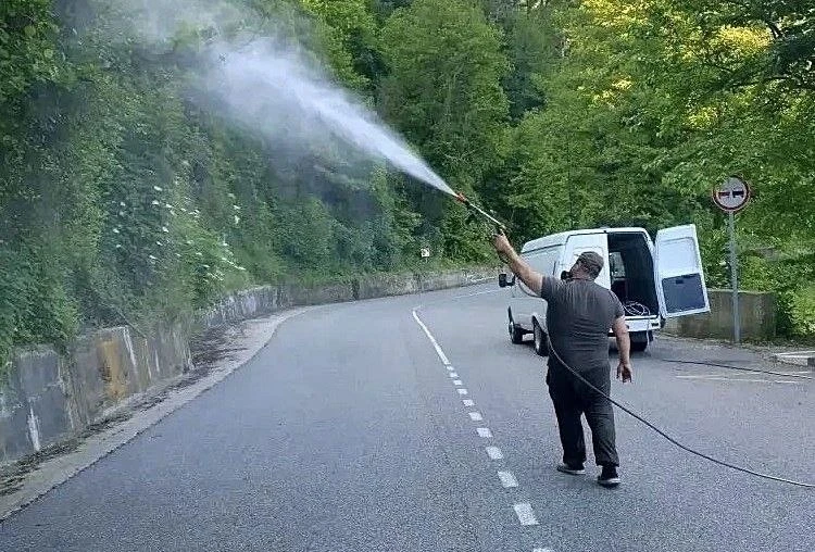 🌸 В Лазаревском высадили 45 тысяч цветов, а до конца года добавят пальмы и магнолии. 

Всего на мас