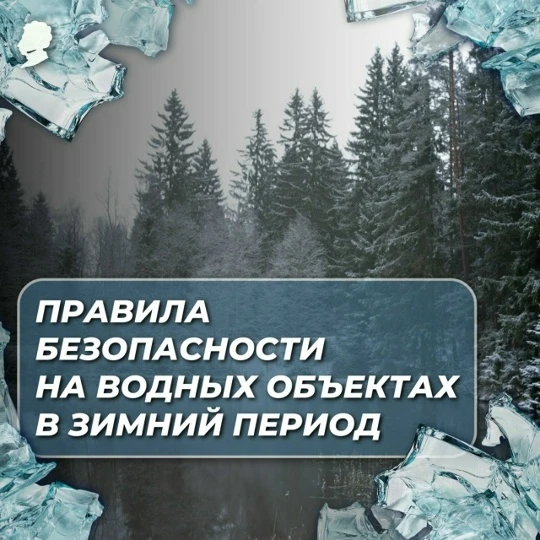Уважаемые жители Пушкинского района!
