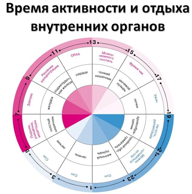 ЗАРЯДКА КИНЕЗИОЛОГА