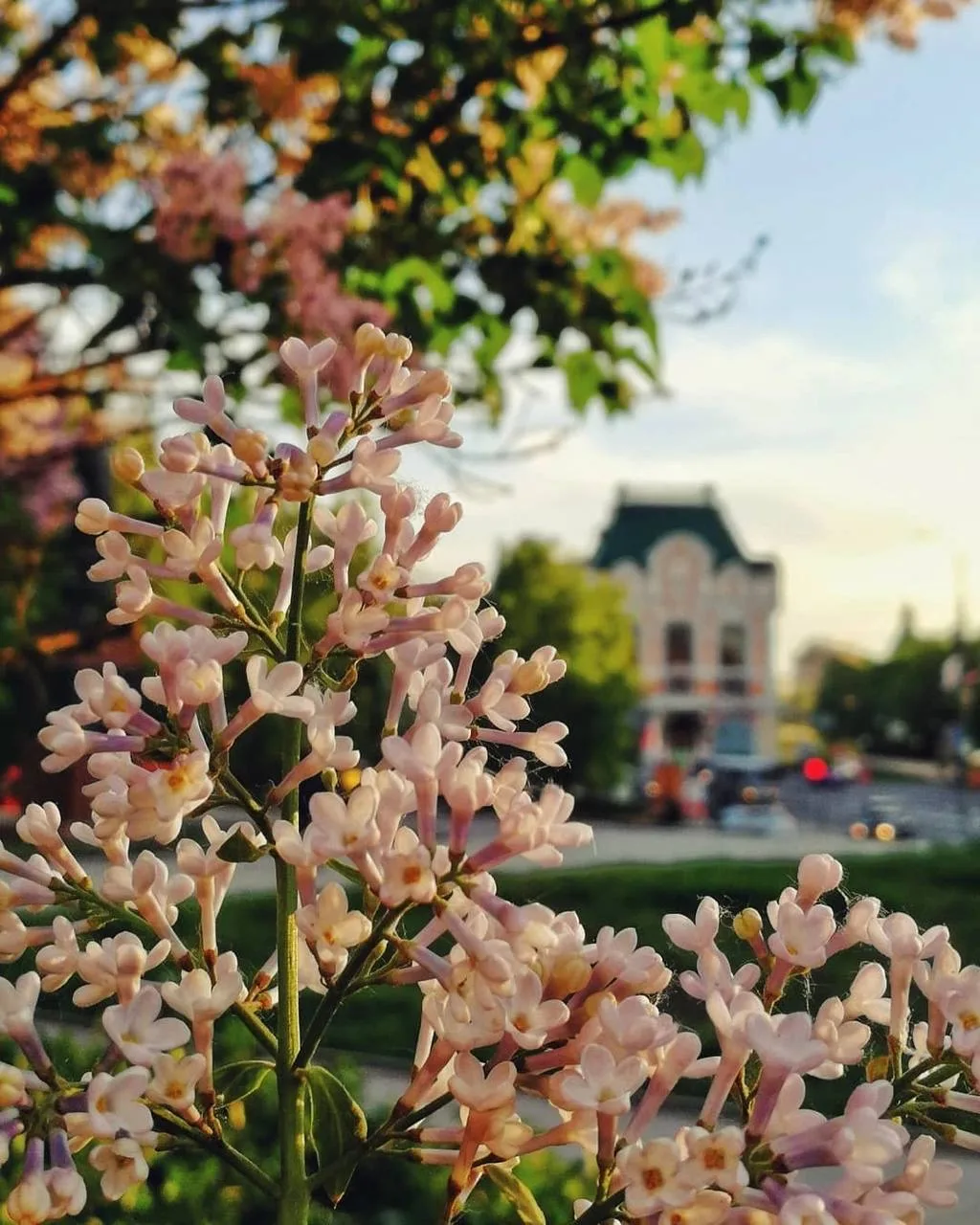 😍 Город сейчас особенно красивый — уже зацвели деревья, и если хочется устроить себе прогулку с весе