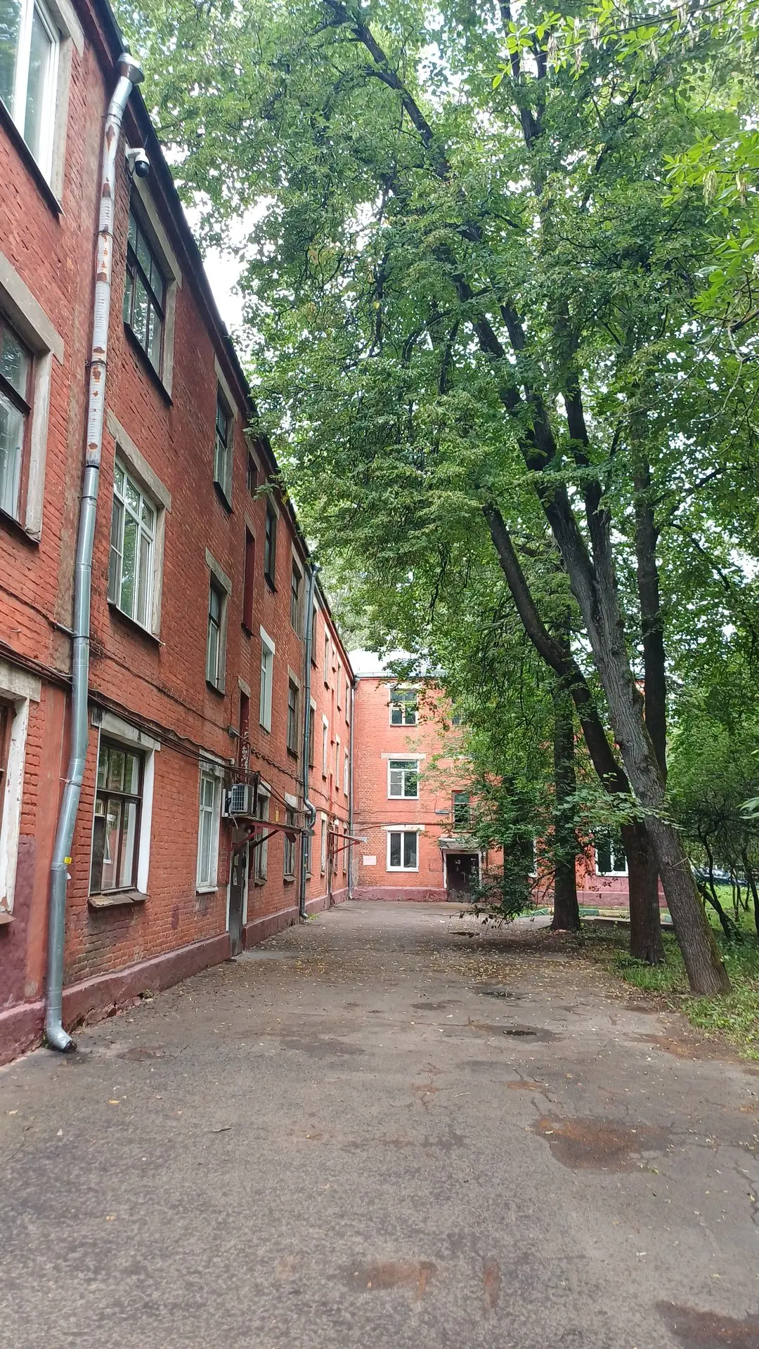 Вчера было необычное событие: