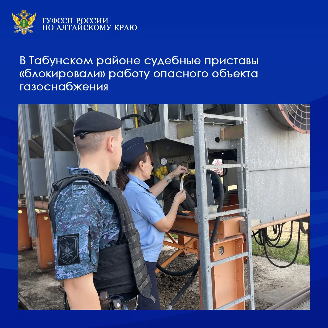 ⚡⚡Деятельность объекта газоснабжения сельскохозяйственного предприятия в Табунском райо...