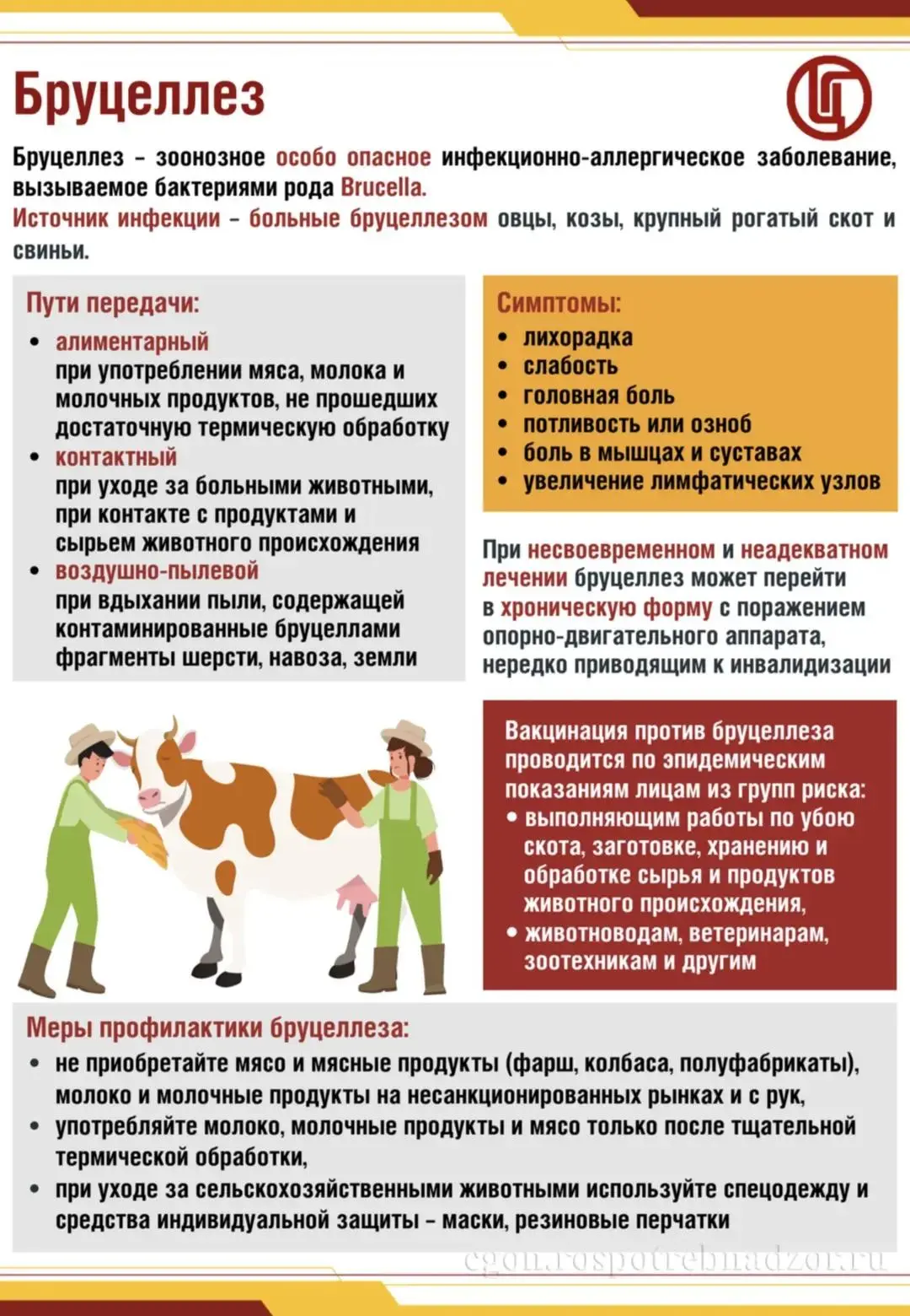 Бруцеллёз — опасное заболевание, которое может передаваться от животных к человеку.