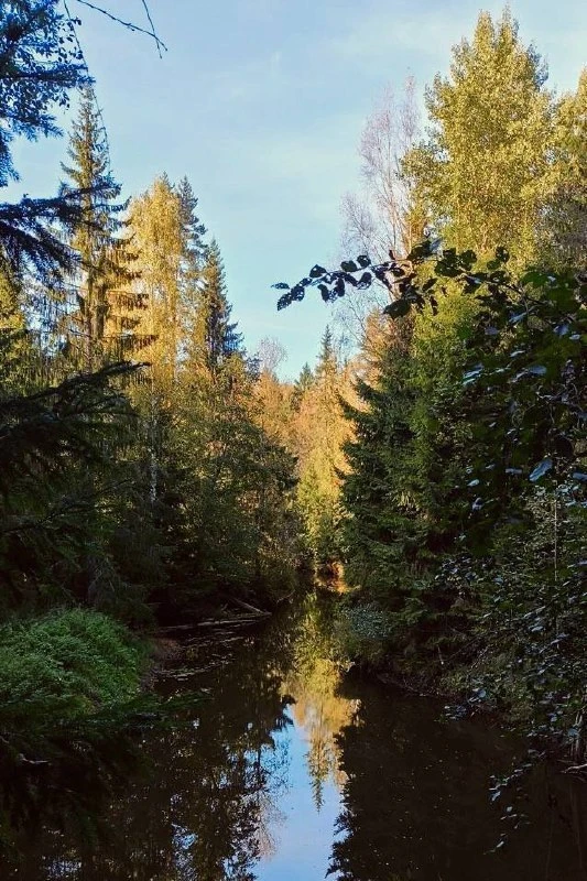 «Долина реки Охта» 😍
