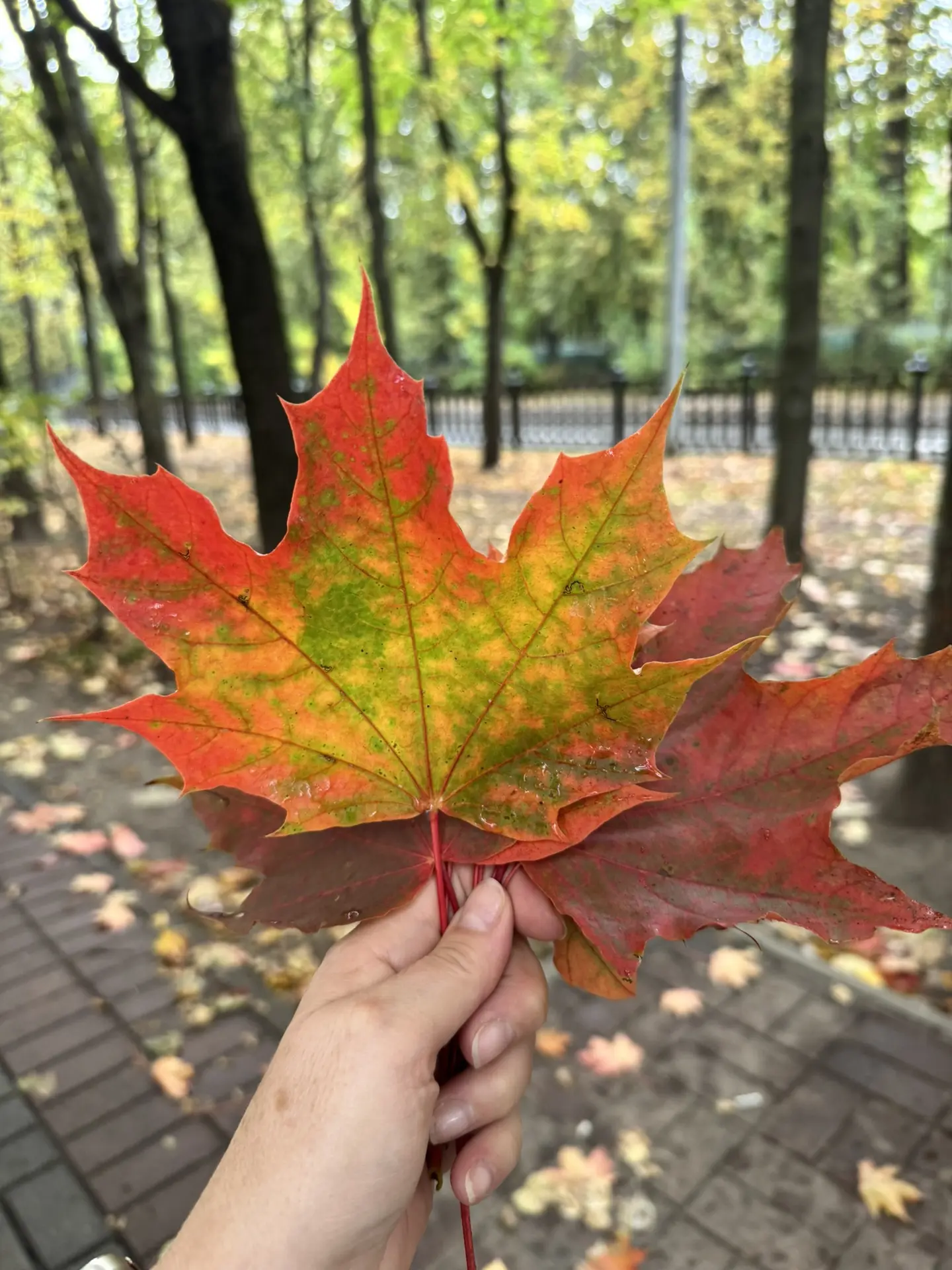 Доброе утречко, дорогие ☀️