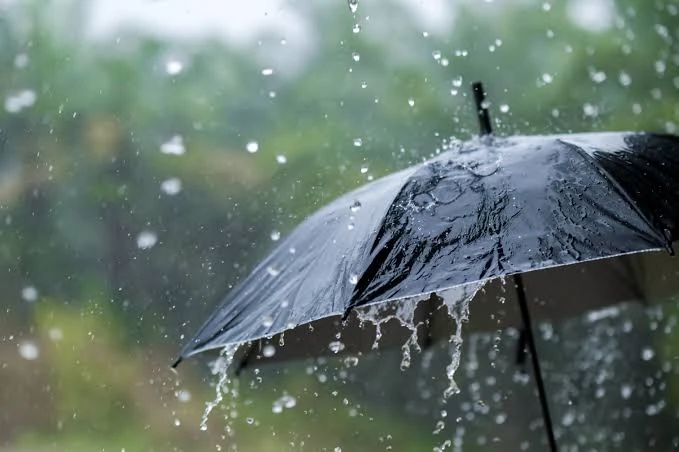 🌧️ Зонты пока далеко не убирайте — дожди в Калужской области задержатся почти на всю неделю.

По пр