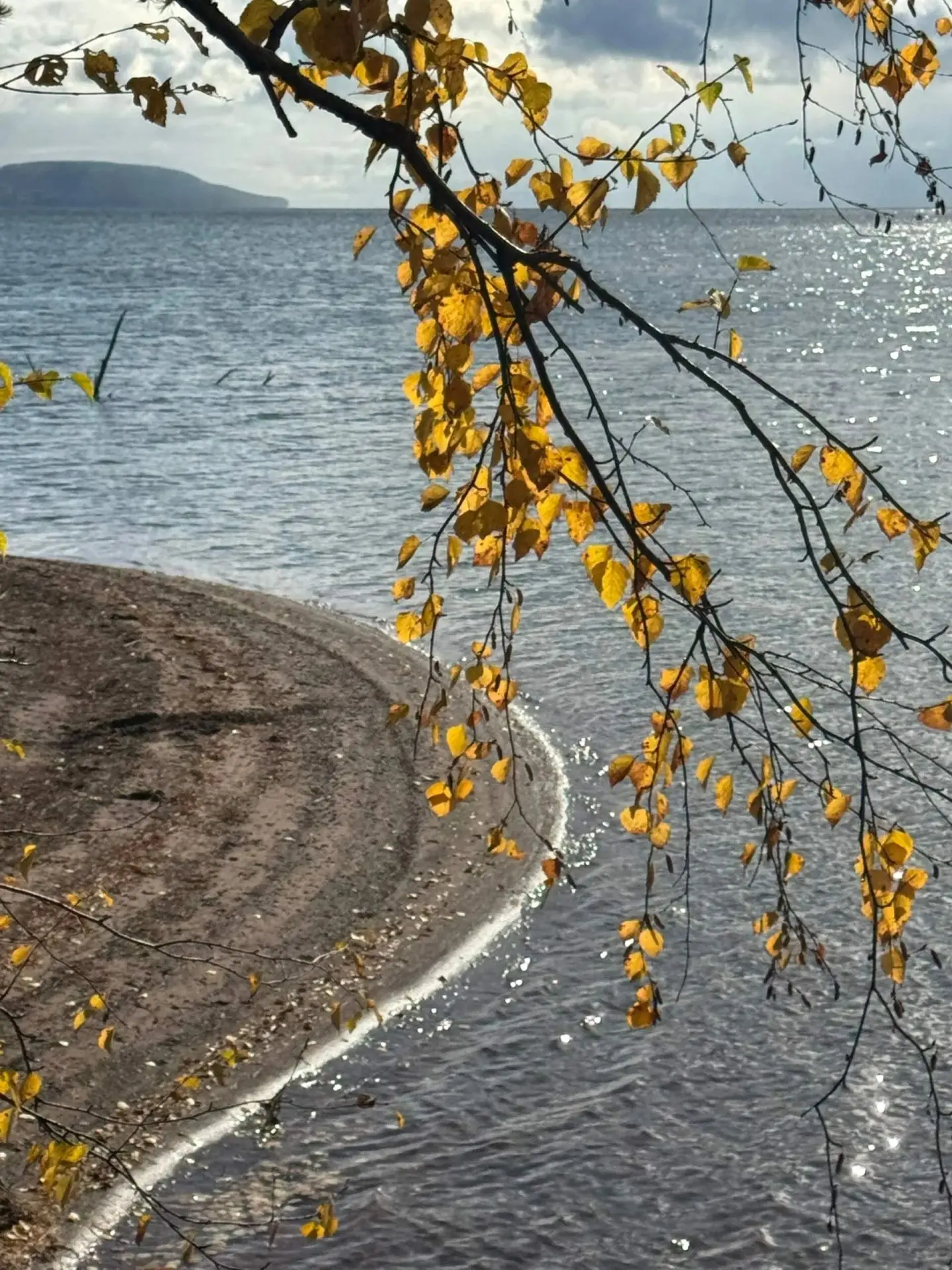 🍁Осень🍁