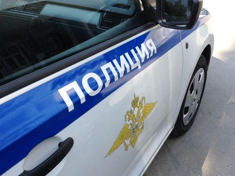 Жительницу Елизова осудили за нападение на полицейскую